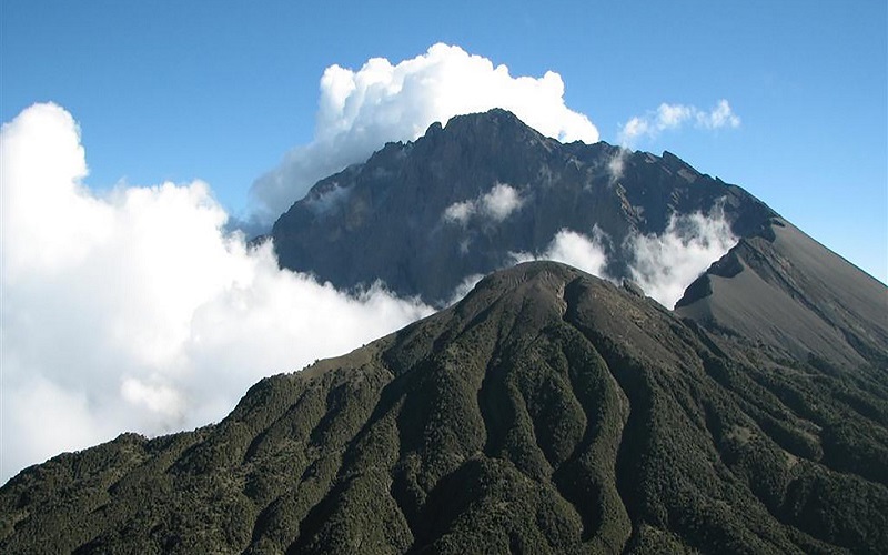 6 Days Mahale Mountains Chimpanzee Safari